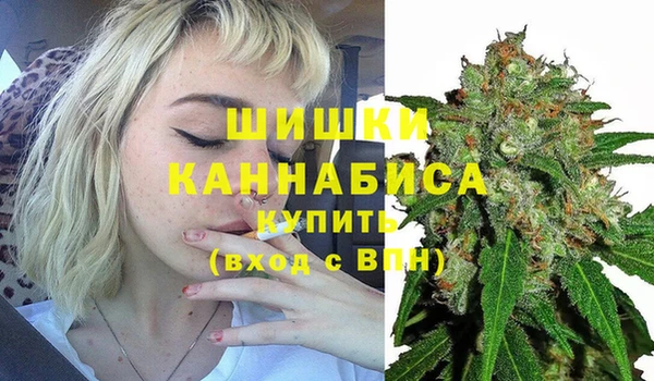 ешки Алзамай