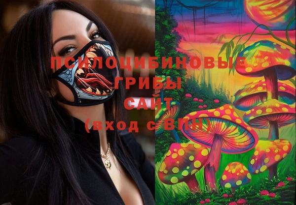 Альфа ПВП Алексин