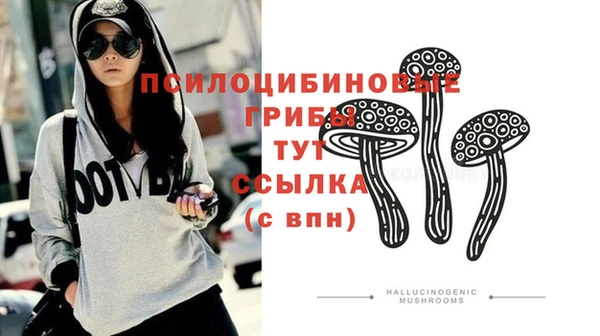ешки Алзамай