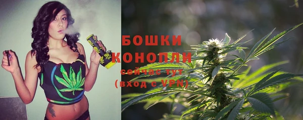 ешки Алзамай