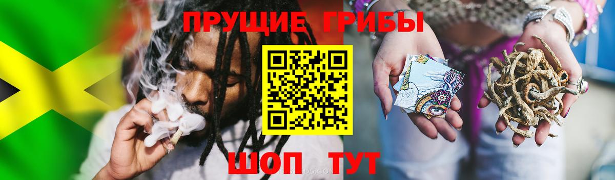 Галлюциногенные грибы мухоморы Саров
